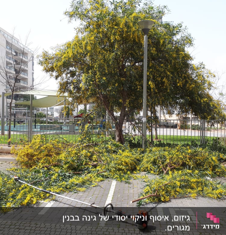 כלי גיזום על הקרקע ליד ענפים גזומים